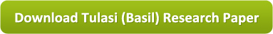 Download Tulasi (Basil) Research Paper
